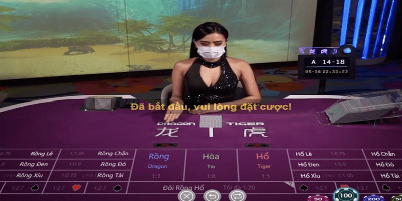 Rồng Hổ CasinoMCW - các cửa cược phổ biến trên bàn chơi nên nhớ 