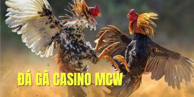 Đá Gà CasinoMCW - ảnh bìa 