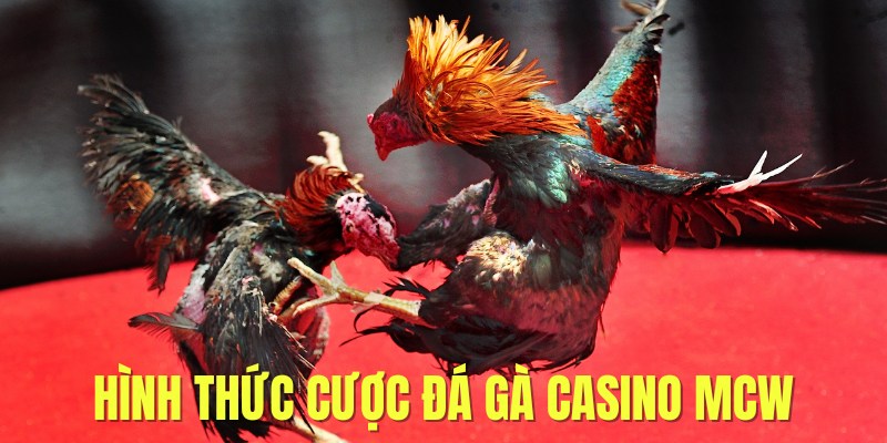 Đá gà CasinoMcw - hình thức chọi gà trực tiếp