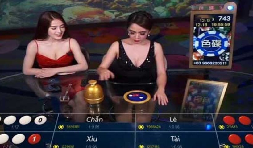 Xóc Đĩa Casinomcw - cấc thuật ngữ